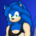 Sonic The Hedgehog: 20 Years Earlier