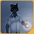 Ringtail Noir