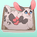 Bun in a box