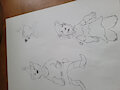 DISNEY ANIMAGIC INITATIVE: LITTLE JOHN by TSurg3