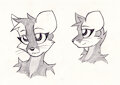 Marten Practice
