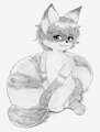 [PWYW Sketch] SwishWish