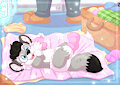 Sock playtime