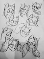 Aurora's Hair