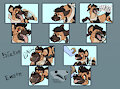 Paint Sticker Sheet - Wicked Whiskers Comm