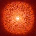core