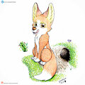 Un zorro interesante (patreon) by Yordraw
