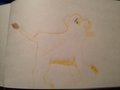 My Attempt at Sketching out Nala by Shippo