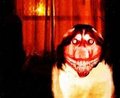 deformed smile dog.jpg by SonicEXE