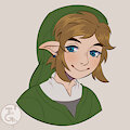 Link Skyward Ver2