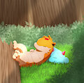 nap