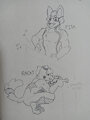 Local Furs