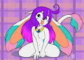 Ika cutie