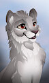 2024 Cat