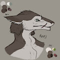 Reed