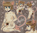Ref Sheet for my sona [SFW] by AshleyNezumi