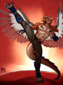 High Kick by tsaiwolf