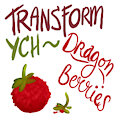 Transformation YCH