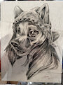 Dobie Portrait Sketch Large