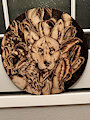 Coyote Woodburn Large