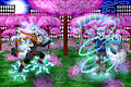 Foxes Among the Sakura