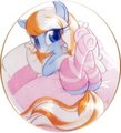Cozy´s morning