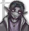 GC_XFMI by GamiCross