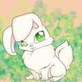 Debit card bunny