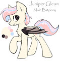Juniper Gleam Reference by EnderFloofs