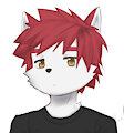 Testing coloring and shading
