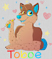 Toboe Badge