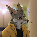 new icon