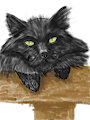 Java-Lee-Licious the Soot Sprite