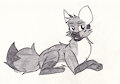 Feral Fedor Shep