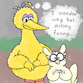 Big Bird Embarrassment