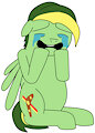 I had a full-on mental breakdown by Didgeree