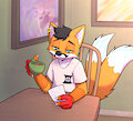 Comfy Fox