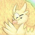 Little Bird