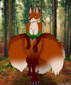 Floofy foxy