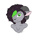 Updated look 2024 by Bleatz