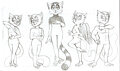 PoM AU body types by VioletStar