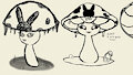 Meeps mycelia