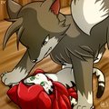 [Picture-Series] Cat Red Riding Hood And The Wolf 04 