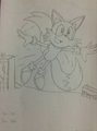 Flying Tails