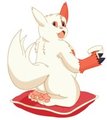 Zangoose With Tea by Buwaya