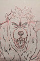 Asim debut sketch