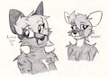 Dog and Deer Dora