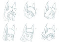 Tundra's Hairstyles