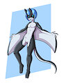 [C] Manta Boy