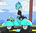Skitter's Bike